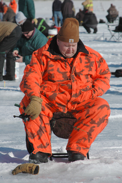 On the hunt for fish